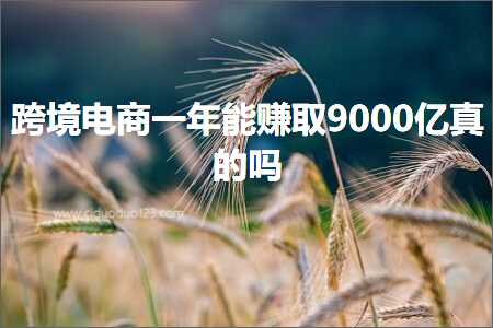 璺ㄥ鐢靛晢鐭ヨ瘑:璺ㄥ鐢靛晢涓€骞磋兘璧氬彇9000浜跨湡鐨勫悧